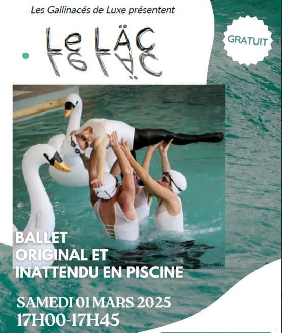 Affiche Ballet en piscine à Saint-Benoît
