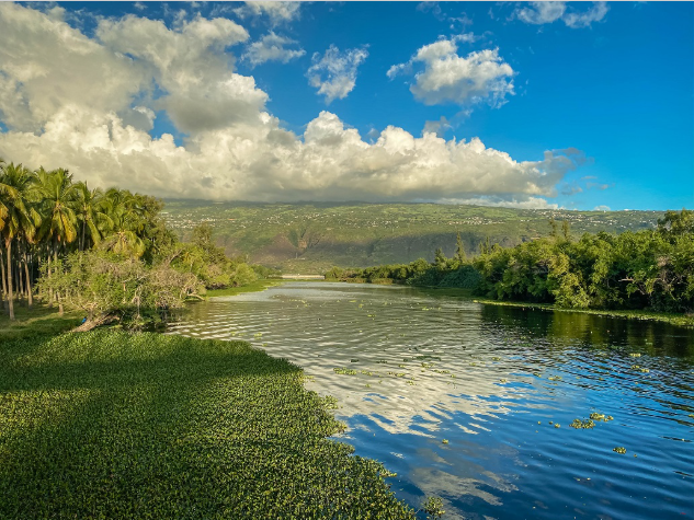 Affiche Ateliers et Immersions dans la Réserve Naturelle de l'Etang Saint-Paul