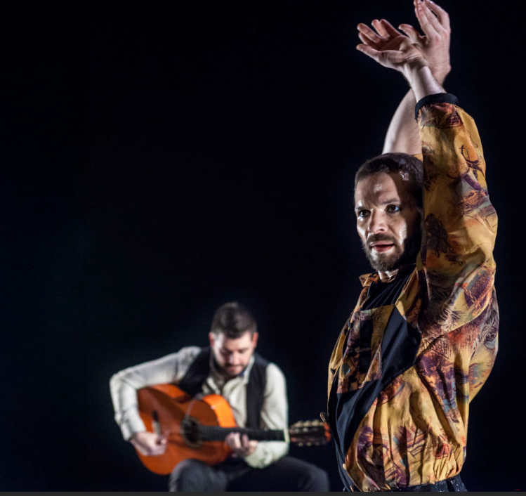 Affiche 7S7L - Musique & flamenco, rythmes du monde sous les étoiles