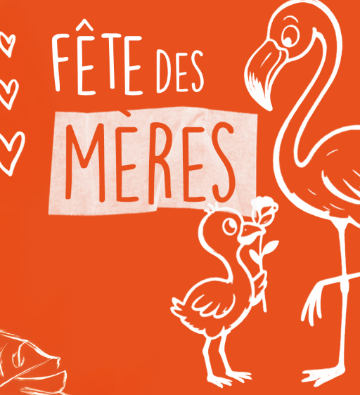 Affiche DÉJEUNER SPÉCIAL FÊTE DES MÈRES 