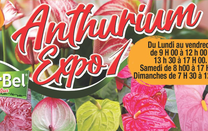 Affiche ANTHURIUM EXPO