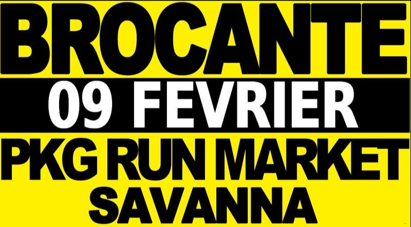 Affiche Brocante de Savanna 