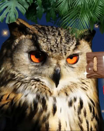 Affiche NOCTURNE AU ZOO PARC