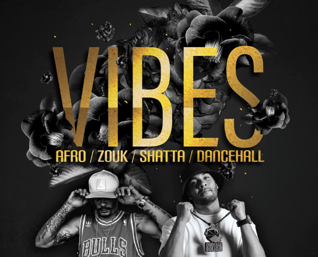 Affiche VIBES
