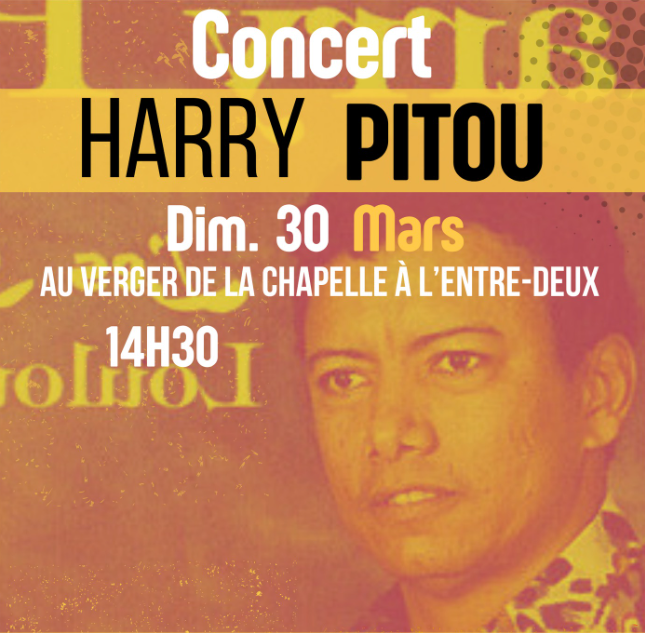 Affiche HARRY PITOU