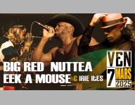 RUN REGGAE FESTIVAL