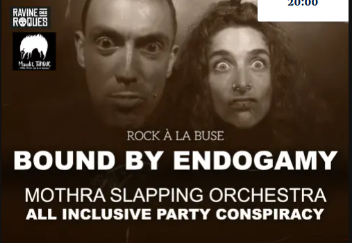 Affiche Rock à La Buse