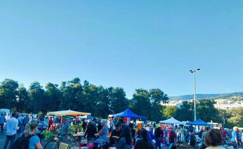 Affiche Brocante des Camélias