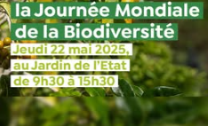 Affiche JOURNÉE MONDIALE DE LA BIODIVERSITÉ