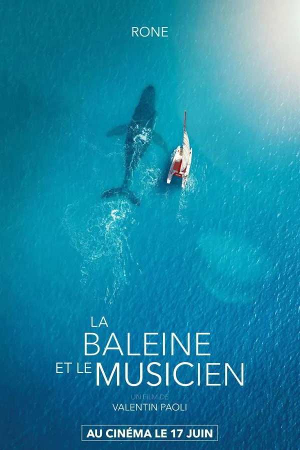 La Baleine Et Le Musicien